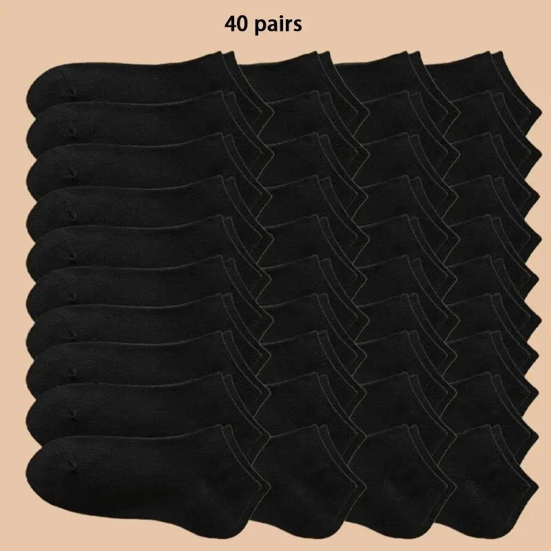 S79b19a5db77c4bfe9200cb838ff971daG