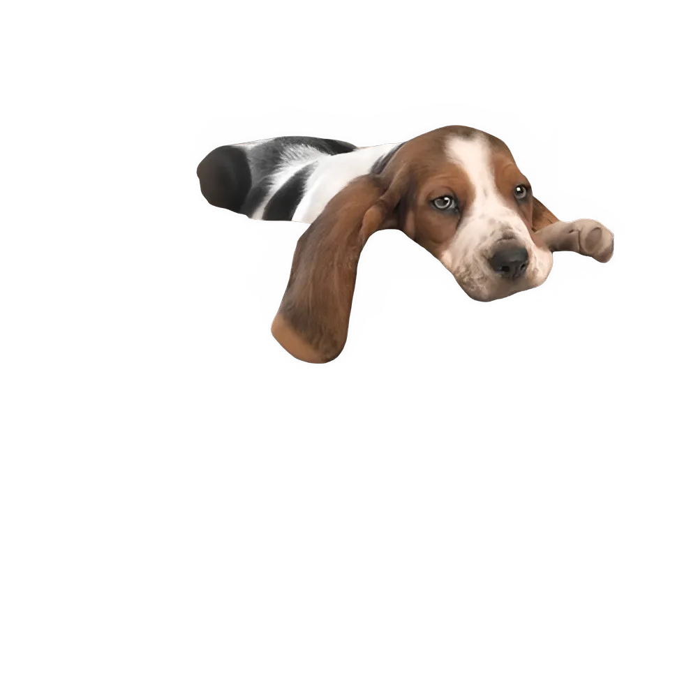 913227bc-b92c-468e-8805-7bae59d01855