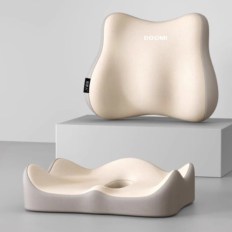 S3e03638dccb640ddbdec878ba58466d74