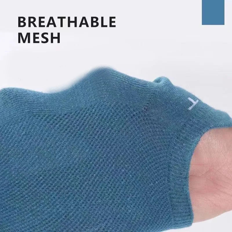 Se7b7586d8d0446b59fbe33ebd4bc87d0e